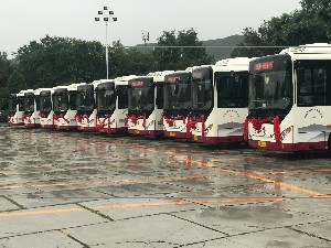 &#81;&#89;&#29699;&#21451;&#20250;
