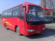 &#81;&#89;&#29699;&#21451;&#20250;